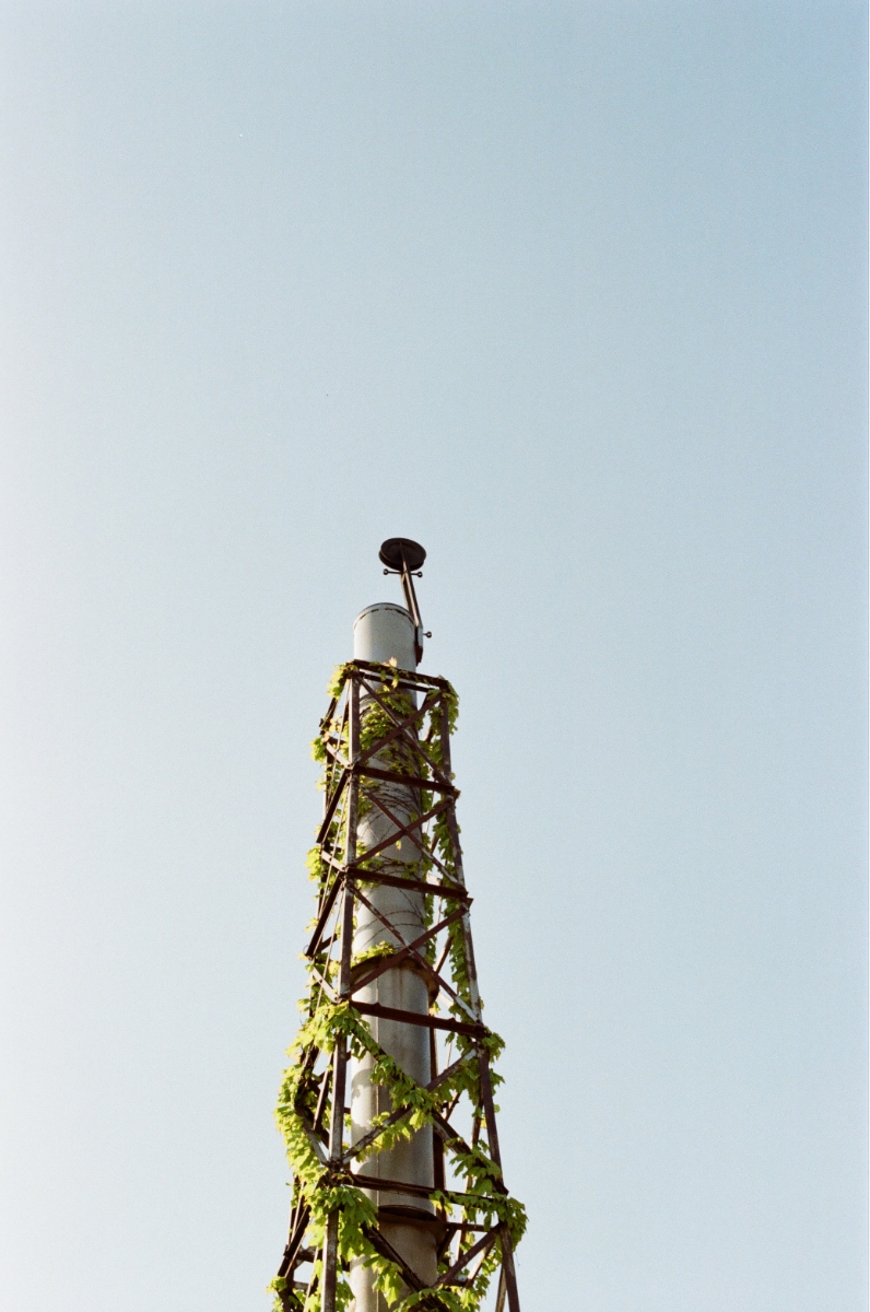 写真3